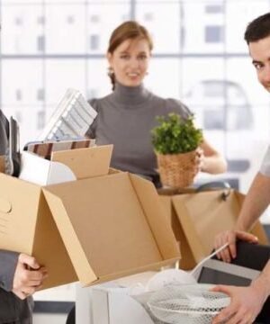 cropped-mutari-birouri