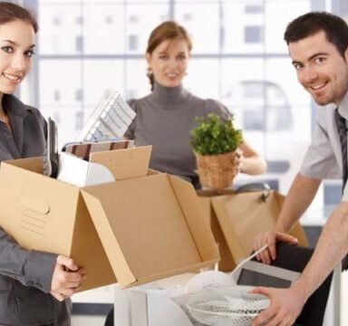 cropped-mutari-birouri